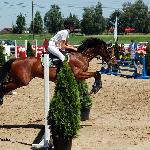 Baffina - Regionalne Zawody w Skokach przez przeszkody Jastrzębie Zdrój 03.07.2010<br />&copy; Aleksandra Mucha