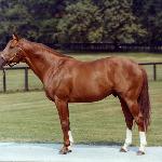 Secretariat