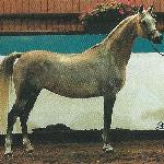 Erlanda - 1994 - Aachen / 1st place 4-6yr old mares.