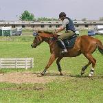 Sekret - Baborówko 13-14.05.2006<br />&copy; Małgorzata Odyniec