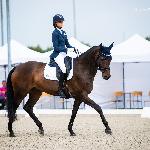 Bessie<br />&copy; Julia Świętochowska<br /><i>fb Dressage24.pl</i>