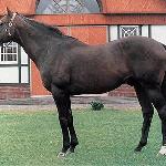 Dancing Brave