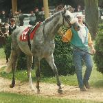 Rawajak - przed gon.Derby, PTWK Służewiec, 1996 r.