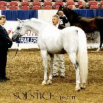 Solstice - Solstice and Jimmy Mills