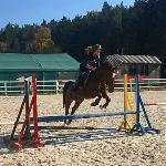 Hetman - Toporzysko trening 50cm<br />&copy; Izabela Januszyk<br /><i>Jeździec Wiktoria Majewska, Fot. Izabela Januszyk</i>