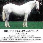 Ors Tulira Sparrow