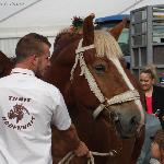 Union de Maucourt - Sedan (Francja) - 2016r.<br />&copy; Aleksandra Galanek