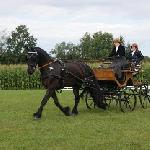 Oscar van de Weiden Hoeve