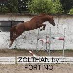 Zolthan