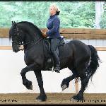 Mathijs Friesians of Majesty