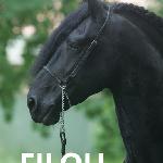 Filou (Filou 1538)