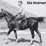 Alla Amarward