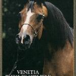 Venetia