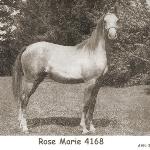 Rose Marie