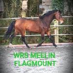 Wrs Meelin Flagmount