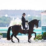 Intermezzo van het Meerdaalhof - Intermezzo van het Meerdaalhof & Domien Michiels - Olympic Games Paris 2024