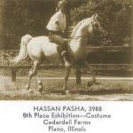 Hassan-Pasha