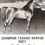 Takara Raffon