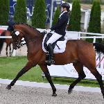 Amber<br /><i>fb Dressage24.pl</i>