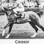 Ceasar